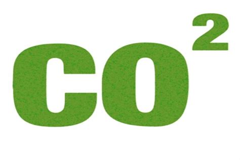 DSP commences trial with bamboo biochar to reduce CO2 emissions