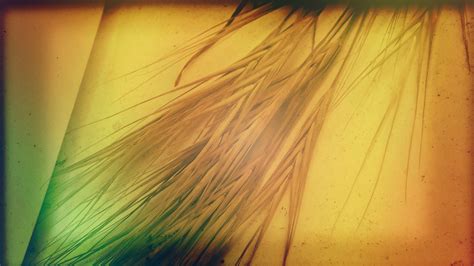 Chill Dubstep 的图像结果