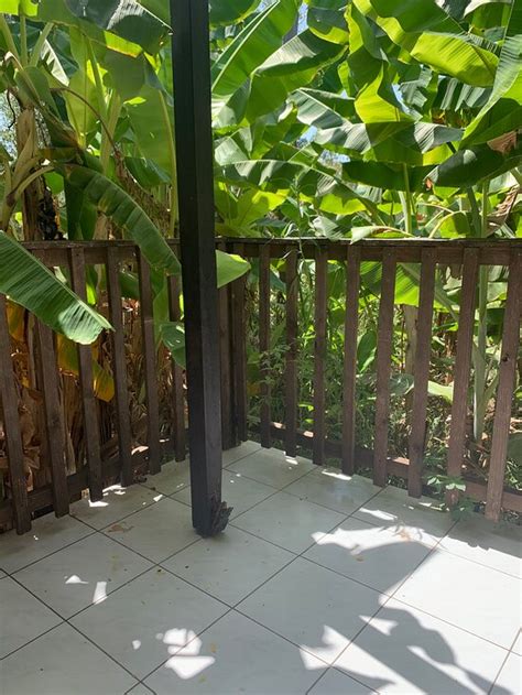 TROPICANA HOTEL (Laganas, Zakynthos) - Lodging Reviews & Photos ...