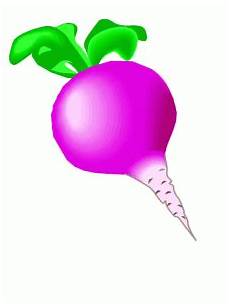 malvorlagen kinder lebensmittel radischen 3 ausmalbild malvorlage lebensmittel malvorlagen kinder lebensmittel radischen 3 ausmalbild malvorlage lebensmittel