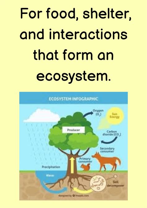 Flashcard: Environment- 2 Flashcard - Social Studies (SST) Class 7