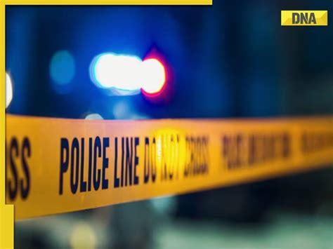 Vijay Mallya arrest: Timeline of money laundering case that led to King ...