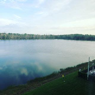 Image result for Rh Negative Targeted