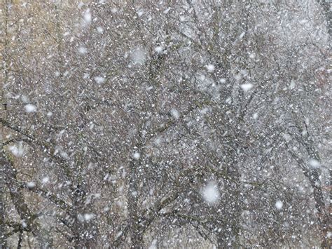 Free Images - blizzard snow flurry snowflakes 5