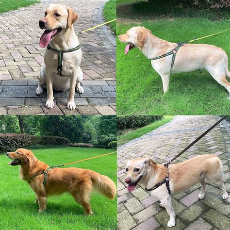 Buy Xipebros Dog Harness , No Pull Dog Harness with Reflective ...