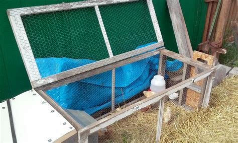 Brooding Pen 的图像结果