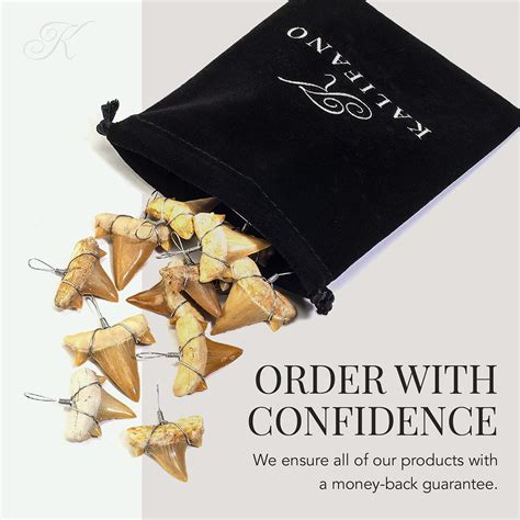 Buy KALIFANO Authentic Fossilized Prehistoric Mini Wire Wrapped Shark ...