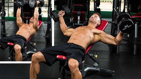 Dumbbell Chest Fly: How To Do, Muscle Worked, and Form