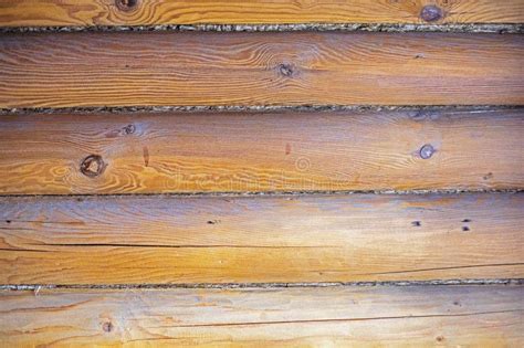 Image result for Solid Log