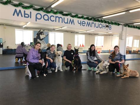 ВАК: Великосельский аграрный колледж все о ссузе, стоит ли поступать ...