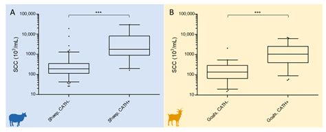 Relationship of Late Lactation Milk Somatic Cell Count and Cathelicidin ...