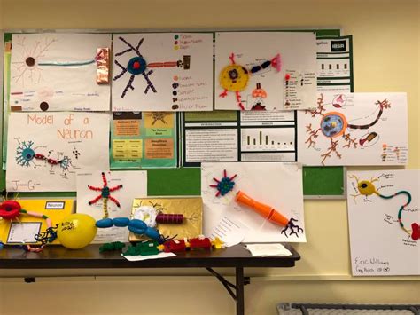 Neuron Model Project 的图像结果