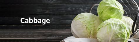 Fresh Organic Cabbage, 1 Pc : Amazon.in: Grocery & Gourmet Foods