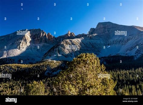 Image result for Visual Basic Progress Bar Example