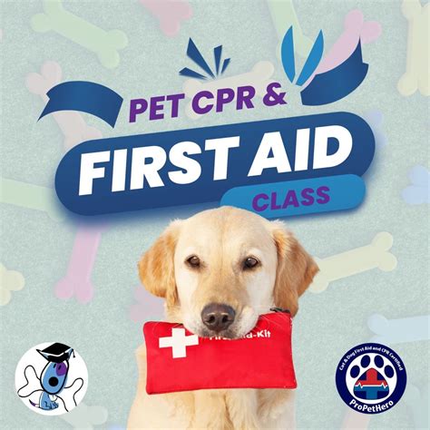 Pet Cpr Classes