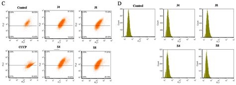 The Yeast and Hypha Phases of Candida krusei Induce the Apoptosis of Bovine Mammary Epithelial ...
