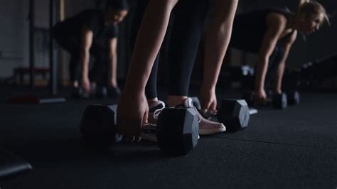 Gym Exercise 的图像结果