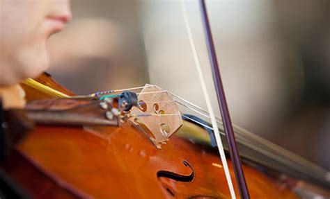 Image result for Classical String Quartet