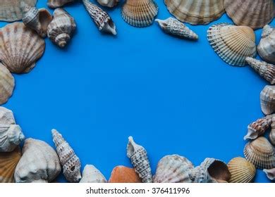 +seahell 的图像结果