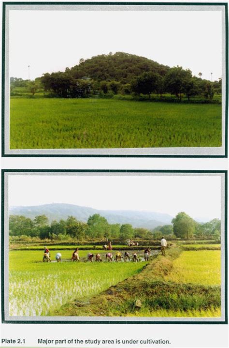 Major part of the study area is under cultivation | Wildlife Institute ...