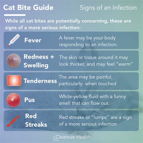 Weird Cat Signs