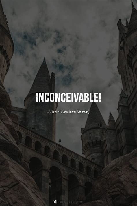 Image result for Princess Bride Movie Inconceivable