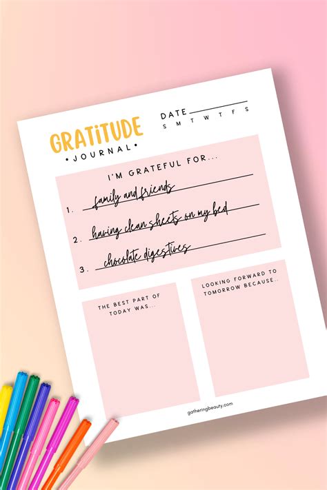Daily Planner And Gratitude Journal at Beverly Browning blog