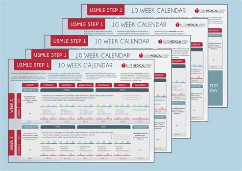 USMLE Step 1 Content Outline for Effective Study | Elite Medical Prep