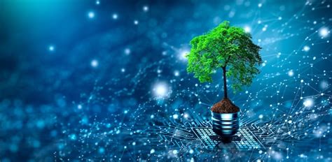 Information Technology Green Program 的图像结果