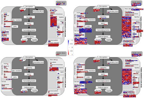 Genome-Wide Transcriptomic Analysis of the Effects of Infection with ...