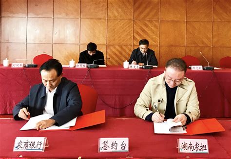 公司与岳阳市农商银行业务合作签约仪式举行_湖南省农业信贷融资担保有限公司