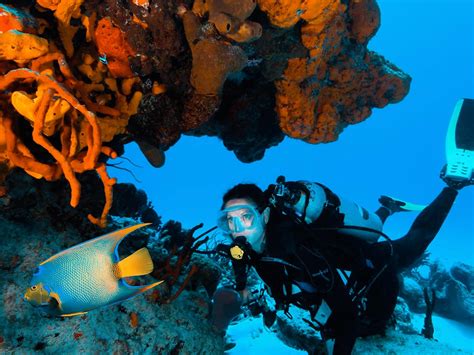 Experience Incredible Diving Adventures | Cozumel Palace