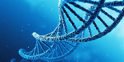 Image result for Genetics Algorithm Define