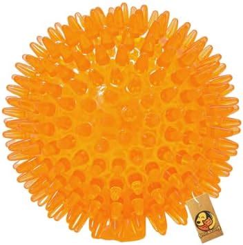 Buy Foodie Puppies Hard Squeeze Squeaky Ball Dog Toy | Squeaker ...