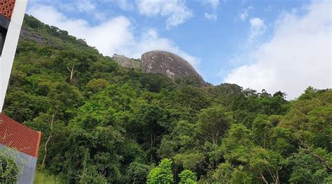 ARANGALA FOREST LODGE (Naula) - Inn Reviews & Photos - Tripadvisor