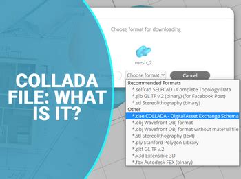 Image result for Collada File