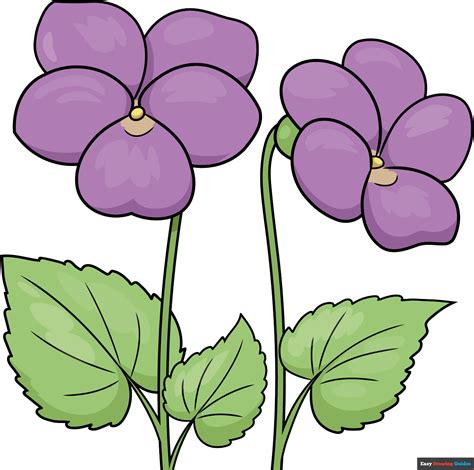 How to Draw Violets - Really Easy Drawing Tutorial