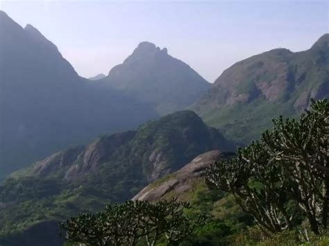 UNESCO Lists India's Agasthyamala Forests Among World Network Of ...