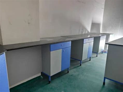 Laboratory Furniture - SS Laboratory Chemical Storage Cabinet Retailer ...