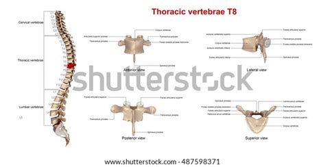 Image result for Best HTML Form Code