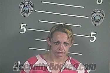 Recent Booking / Mugshot for AMANDA R HOWARD in Pike County, Kentucky