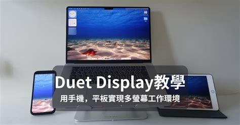 Duet Display Setup 的图像结果