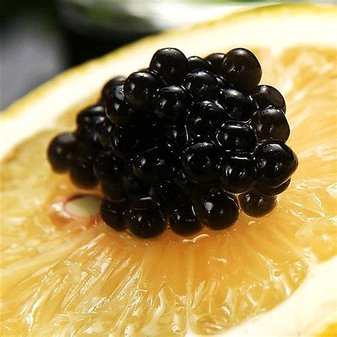 NERSQELX Imported Premium Sturgeon Caviar - Traditional India | Ubuy