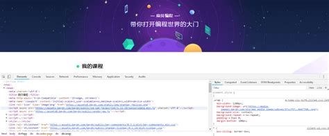 www Python.org 的图像结果
