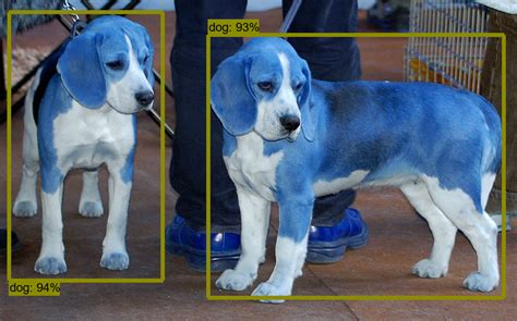 Image result for Run Tensorflow Image Detection Model On RPI