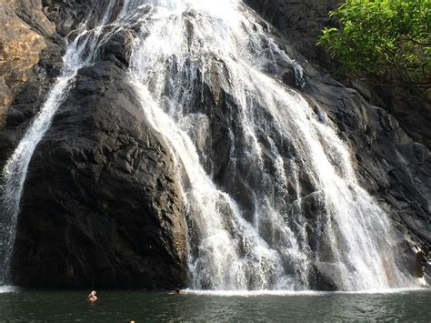 GOA JUNGLE ADVENTURE - All You Need to Know BEFORE You Go 2026 (with ...
