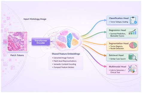Pathology Foundation Models: Evolution, Current Landscape, Challenges ...