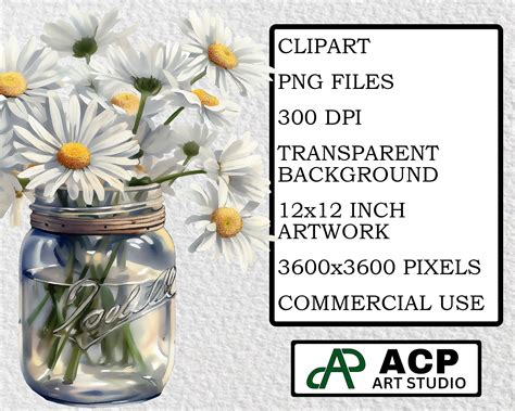 Daisy Clipart Daisy PNG Watercolor Daisies Clip Art - Etsy