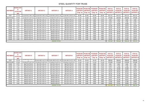 Designing Steel Structures | CEPT - Portfolio