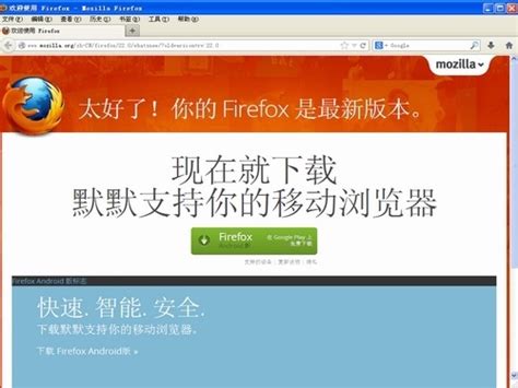 火狐中国版 11.0 简体中文绿色版 下载_当客下载站